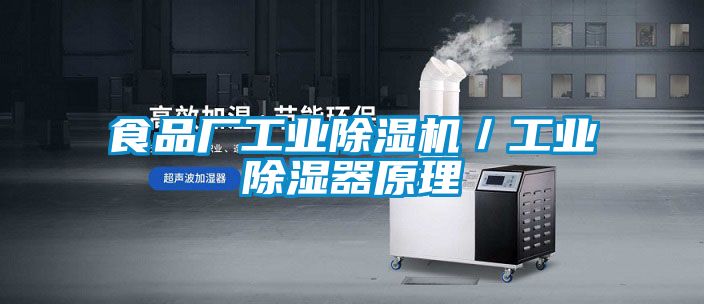 食品廠工業除濕機/工業除濕器原理
