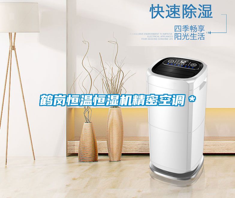 鶴崗恒溫恒濕機(jī)精密空調(diào)*