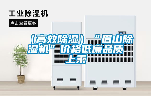 (高效除濕)“眉山除濕機”價格低廉品質上乘