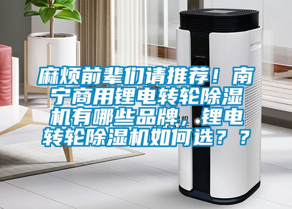 麻煩前輩們請推薦!南寧商用鋰電轉輪除濕機有哪些品牌,鋰電轉輪除濕機如何選??