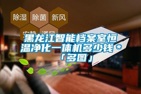 黑龍江智能檔案室恒溫凈化一體機多少錢*「多圖」