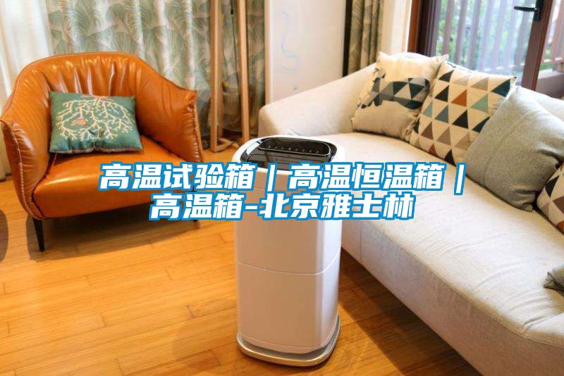 高溫試驗箱|高溫恒溫箱|高溫箱-北京雅士林